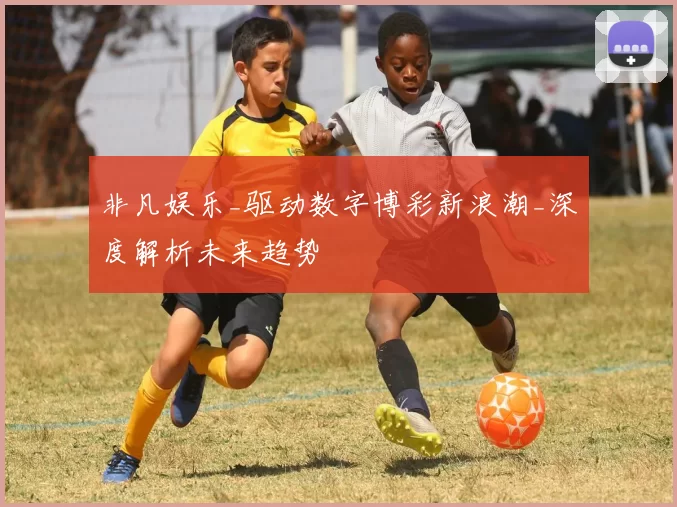 非凡娱乐_驱动数字博彩新浪潮_深度解析未来趋势