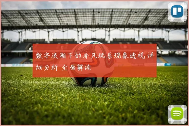 数字浪潮下的非凡玩乐现象透视 详细分析 全面解读