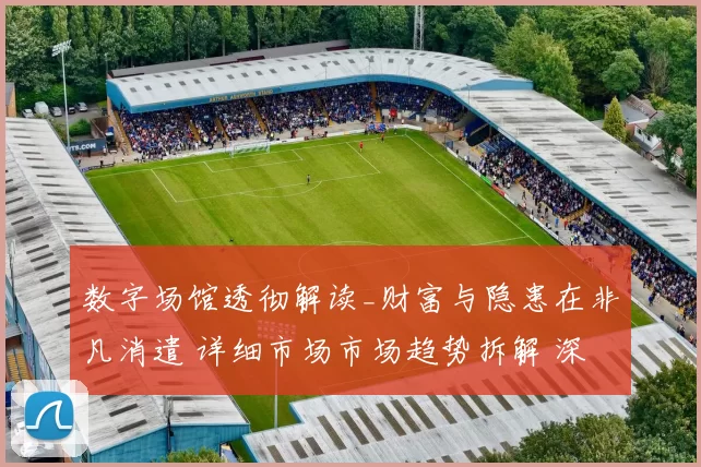 数字场馆透彻解读_财富与隐患在非凡消遣 详细市场市场趋势拆解 深度解析