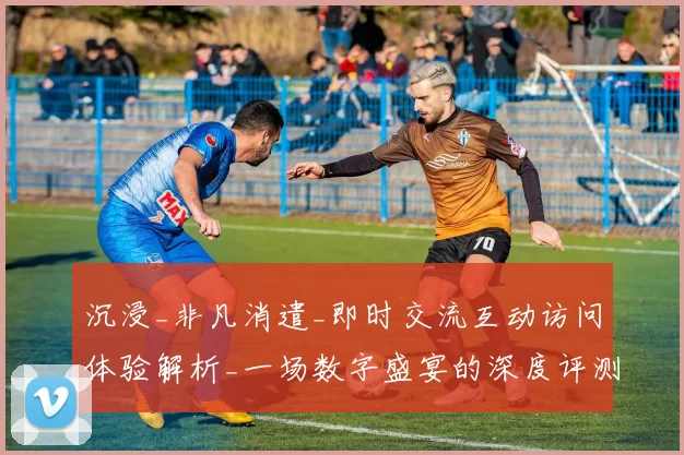 沉浸_非凡消遣_即时交流互动访问体验解析_一场数字盛宴的深度评测