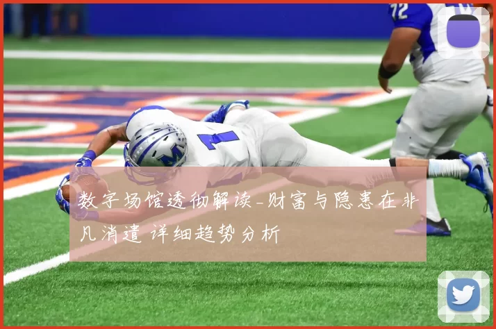 数字场馆透彻解读_财富与隐患在非凡消遣 详细趋势分析