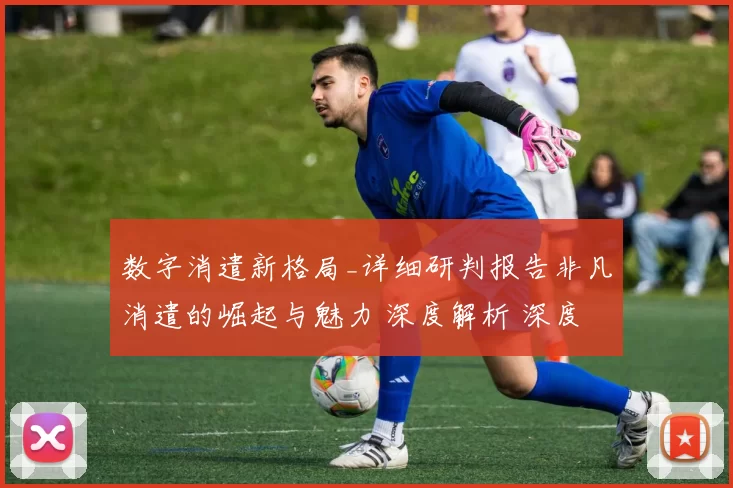 数字消遣新格局_详细研判报告非凡消遣的崛起与魅力 深度解析 深度解析