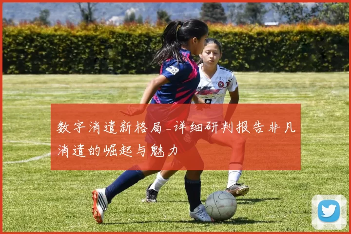 数字消遣新格局_详细研判报告非凡消遣的崛起与魅力