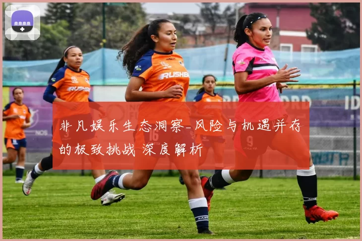 非凡娱乐生态洞察_风险与机遇并存的极致挑战 深度解析