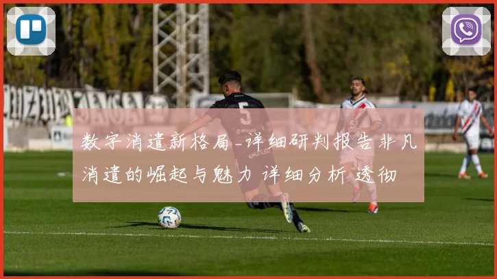 数字消遣新格局_详细研判报告非凡消遣的崛起与魅力 详细分析 透彻分析