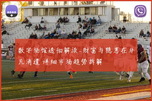 数字场馆透彻解读_财富与隐患在非凡消遣 详细市场趋势拆解
